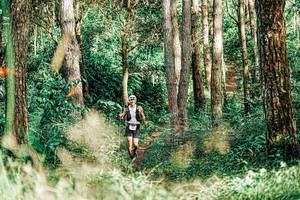 BIB: 
                            <button type="button" onclick="openModal(25237958)" class="btn btn-primary btn-sm float-right btn-popup" data-toggle="modal" data-target=".modal-high-quality">
                        <i class="fas fa-shopping-cart"></i> Add to Cart
                    </button>
                                            <button type="button" onclick="isThisMe(25237958, true)" class="btn btn-success btn-sm float-right btn-popup btn-isme hidden" data-toggle="tooltip" data-placement="bottom" title="นี่คือรูปของคุณใช่ไหม คลิกที่นี่เพื่อเอาเข้าอัลบั้ม">
                        <i class="fas fa-plus"></i> Add to album
                    </button>
                    <button type="button" onclick="isThisMe(25237958, false)" class="btn btn-warning btn-sm float-right btn-popup btn-isnotme hidden">
                        <i class="fas fa-ban"></i> Remove from album
                    </button>